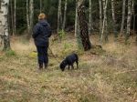 Aktivitet, heter detta momentet, det innebär att matte står helt stilla  mitt i skogen och tittar rakt fram under 2 minuter. Lexi tacklar dettabra, lite uttråkad efter 1½ min. och hittar en pinne som man kan förgylla tiden med.